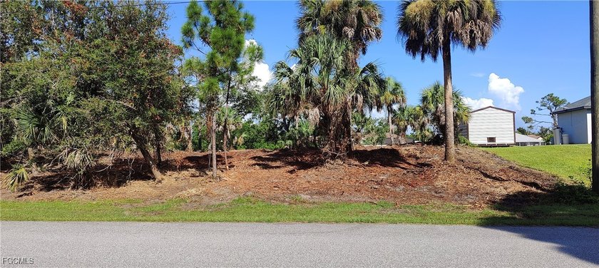 GULF ACCESS? YES! WIDE CANAL? YES! HIGH ELEVATION? YES! LOCAL - photo 5
