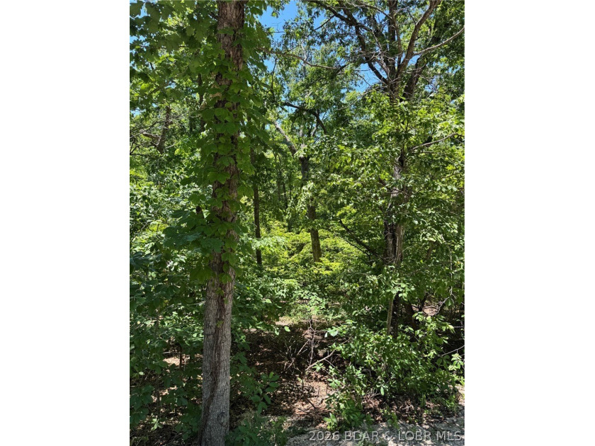 Unique opportunity to own four connected lots in Four Seasons - photo 11