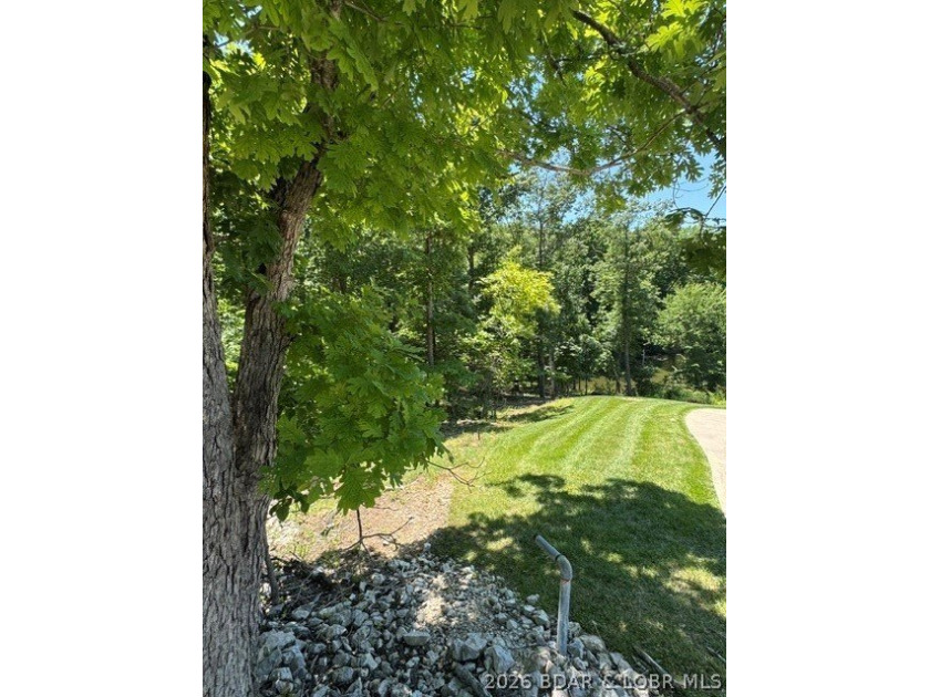 Unique opportunity to own four connected lots in Four Seasons - photo 12