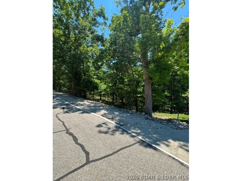 Unique opportunity to own four connected lots in Four Seasons - photo 13