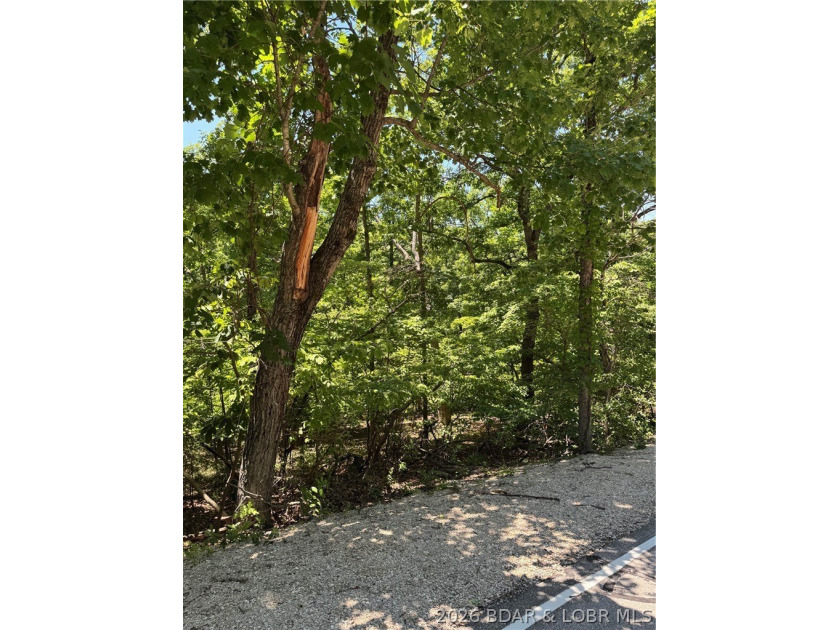 Unique opportunity to own four connected lots in Four Seasons - photo 17