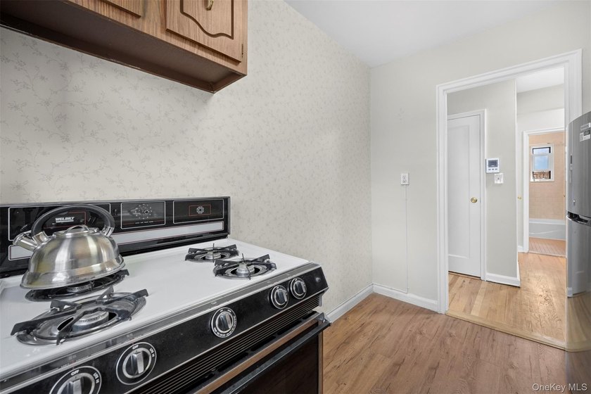Pristine 1-Bedroom Co-Op Adjacent to the Village Green - photo 12