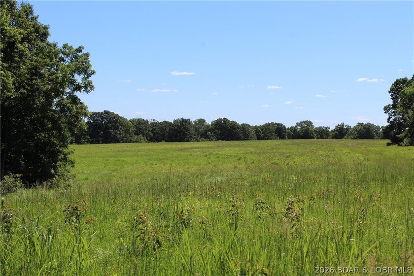 76 acres of opportunity with highway frontage, income potential - photo 11