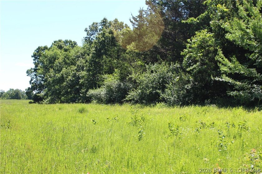 76 acres of opportunity with highway frontage, income potential - photo 13