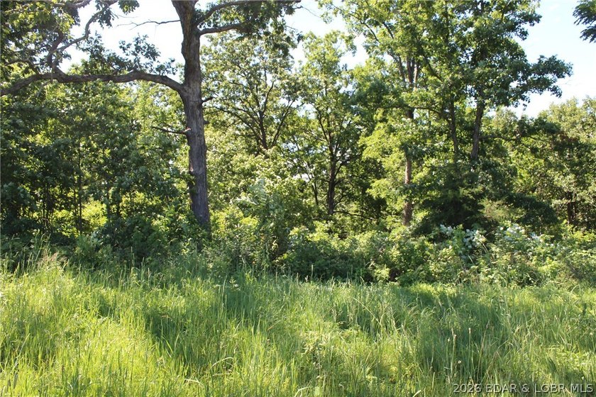76 acres of opportunity with highway frontage, income potential - photo 14