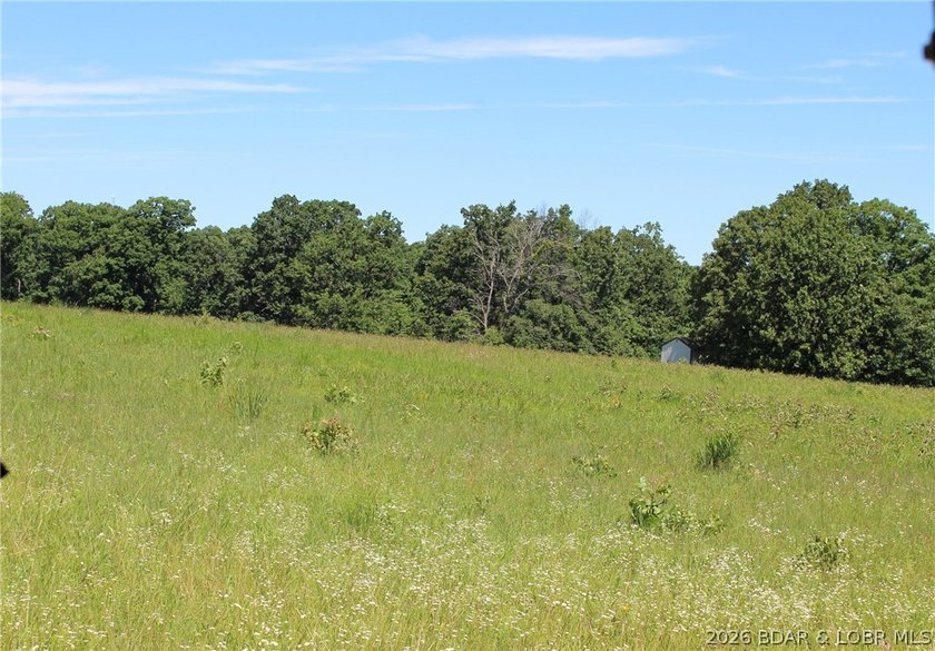 76 acres of opportunity with highway frontage, income potential - photo 15