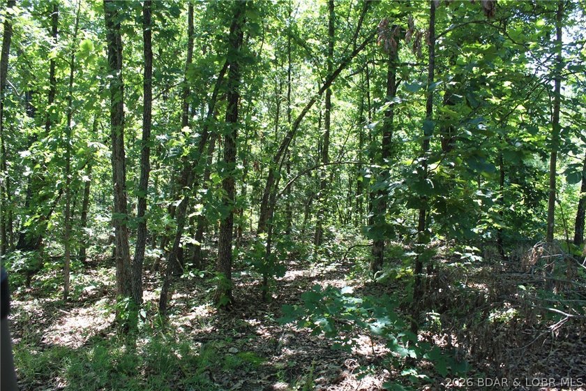 76 acres of opportunity with highway frontage, income potential - photo 16