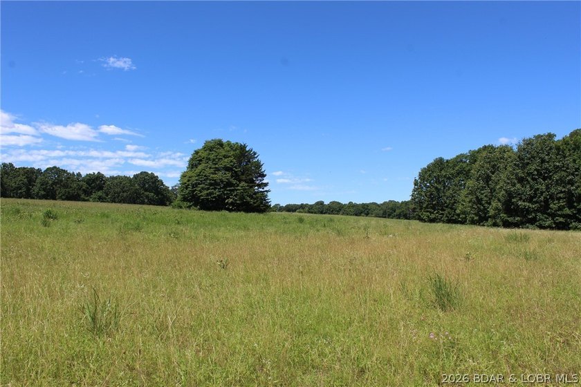 76 acres of opportunity with highway frontage, income potential - photo 17
