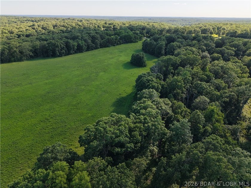 76 acres of opportunity with highway frontage, income potential - photo 18