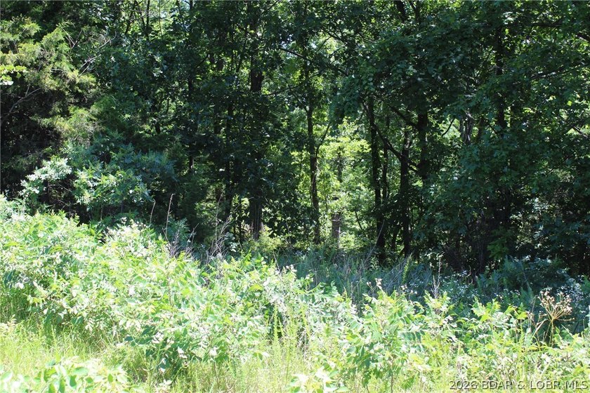 76 acres of opportunity with highway frontage, income potential - photo 21