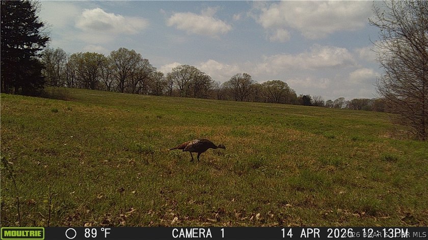 76 acres of opportunity with highway frontage, income potential - photo 25