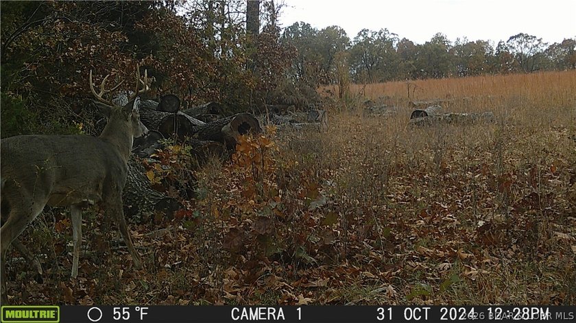 76 acres of opportunity with highway frontage, income potential - photo 27