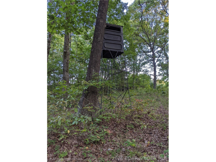 76 acres of opportunity with highway frontage, income potential - photo 29