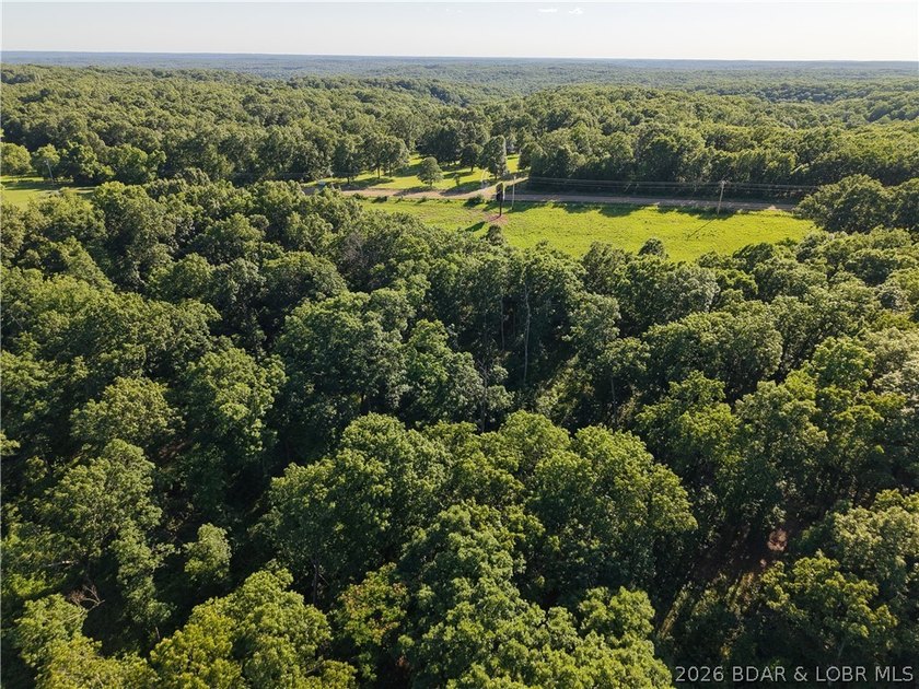76 acres of opportunity with highway frontage, income potential - photo 30