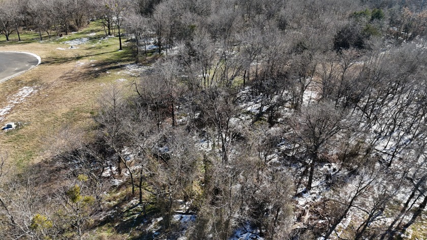 1+ Acre in subdivision on Richland Chambers Lake - photo 37