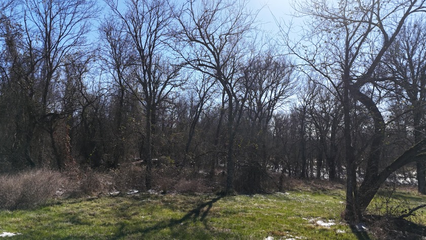 1+ Acre in subdivision on Richland Chambers Lake - photo 18