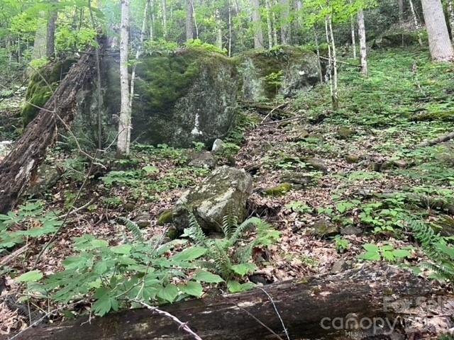 36+ acres of prime acreage in Maggie Valley off of - photo 8