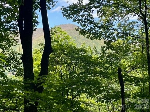 36+ acres of prime acreage in Maggie Valley off of - photo 9