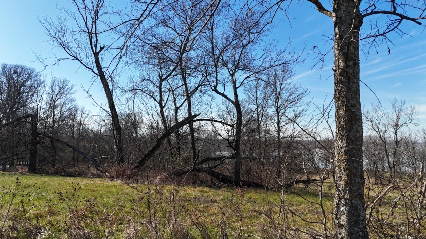 1+ Acre in subdivision on Richland Chambers Lake - photo 10