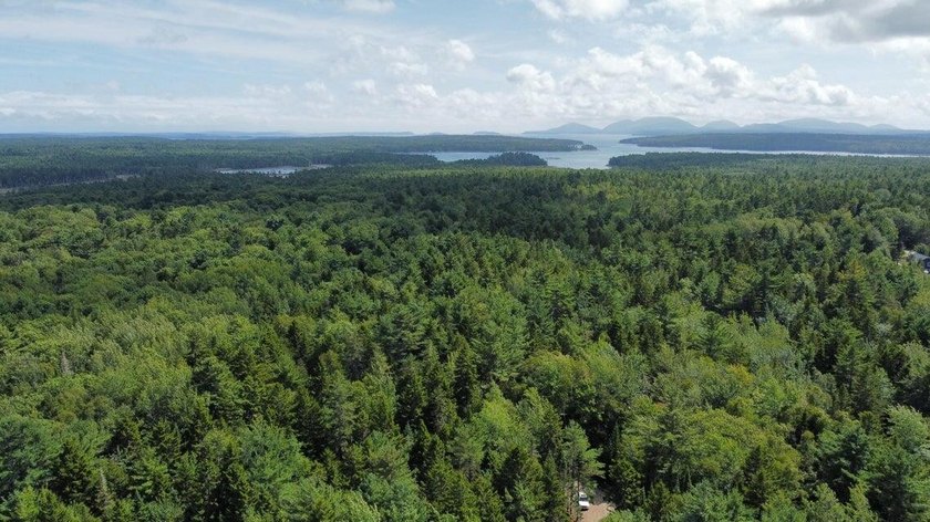 These individual subdivision lots are what you've been waiting - photo 11
