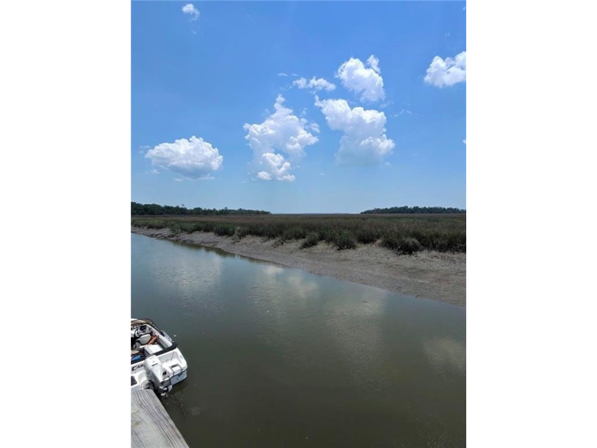 Seller is offering $10,000. in concessions Welcome to 1002 Belle - photo 41