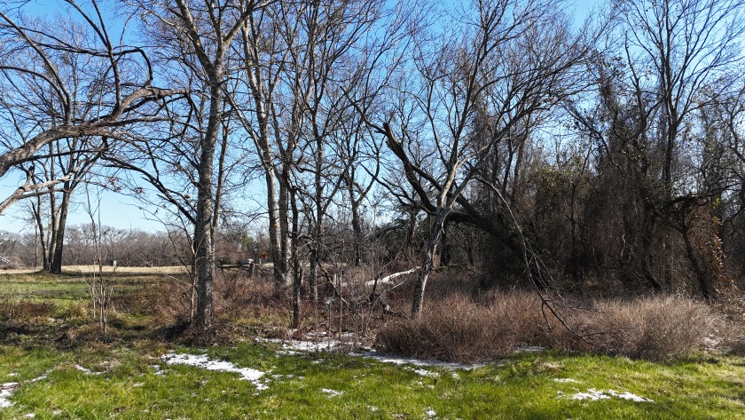 1+ Acre in subdivision on Richland Chambers Lake - photo 26