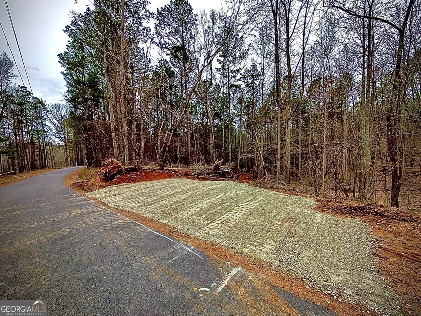 Up to 1,200' in elevation with Stunning views of Pine Log - photo 6
