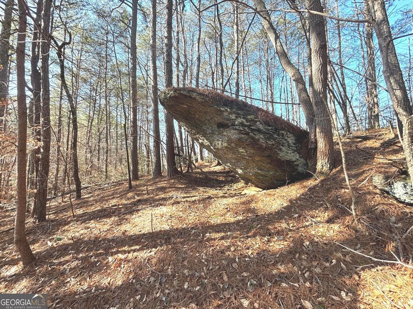 Up to 1,200' in elevation with Stunning views of Pine Log - photo 8