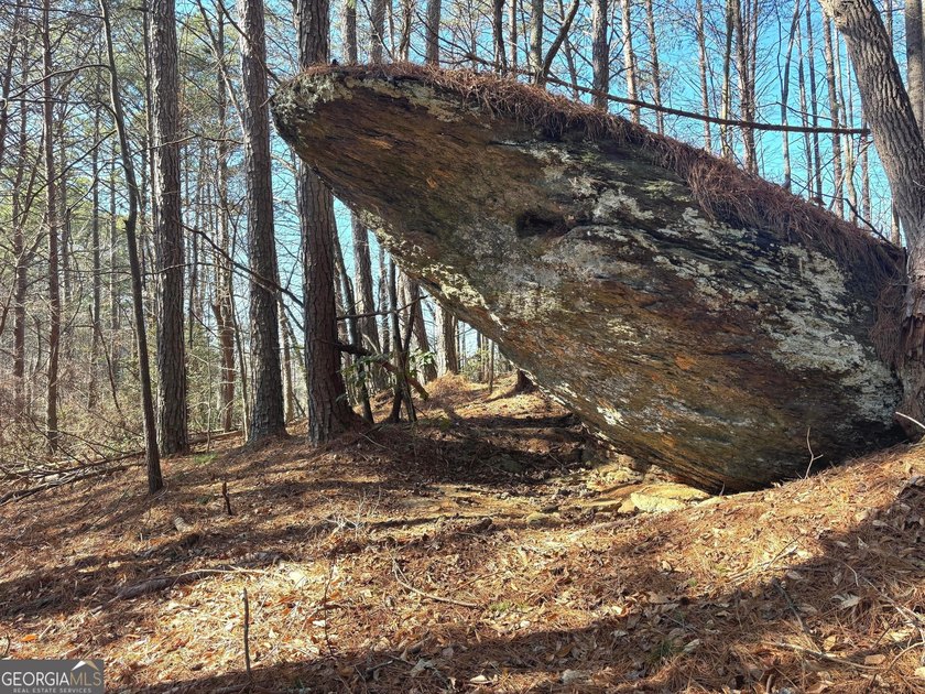 Up to 1,200' in elevation with Stunning views of Pine Log - photo 9