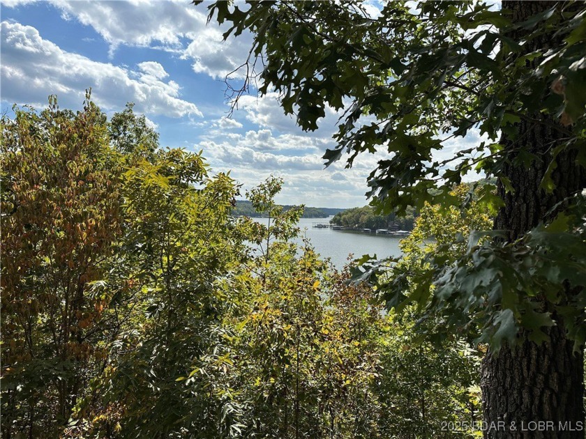 Premier lakefront lot in Phase II of Eagle Bay with stunning - photo 7