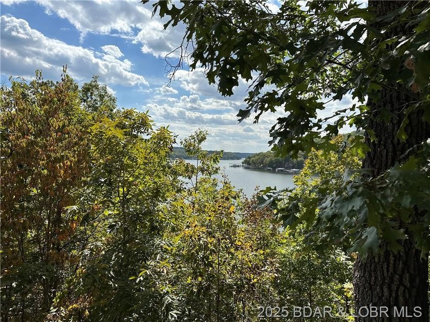 Premier lakefront lot in Phase II of Eagle Bay with stunning - photo 7