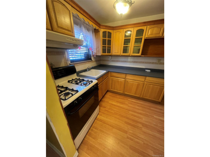 Located on a peaceful, tree-lined street in the Brownville - photo 10