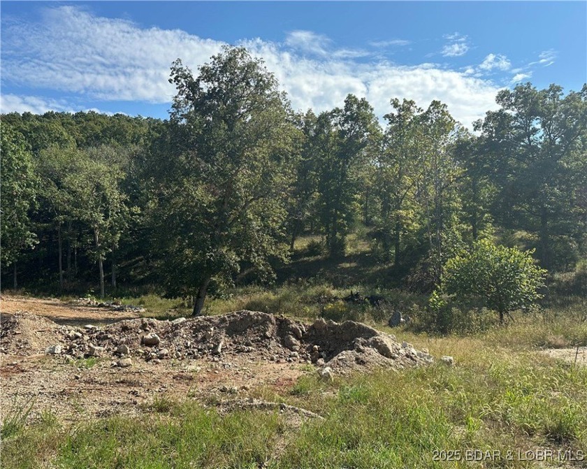 Build Your Dream Home in Woodhaven Estates! This cleared - photo 3