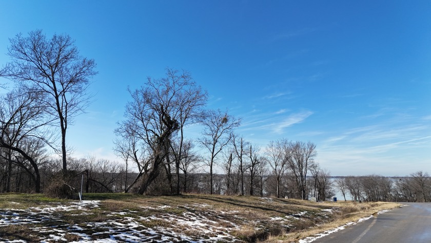 1+ Acre in subdivision on Richland Chambers Lake - photo 6