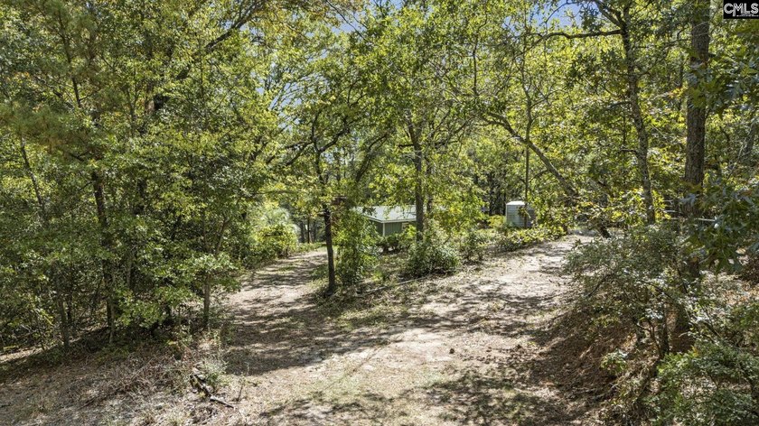 A long, private, tree-lined drive leads to a brick cabin - photo 13