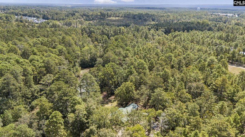 A long, private, tree-lined drive leads to a brick cabin - photo 14