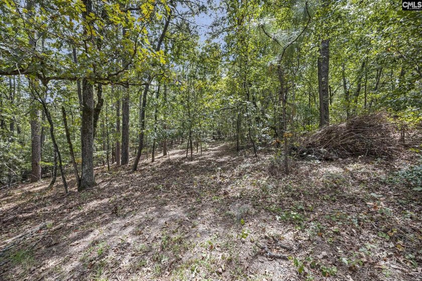 A long, private, tree-lined drive leads to a brick cabin - photo 28