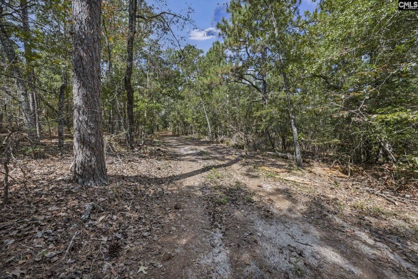 A long, private, tree-lined drive leads to a brick cabin - photo 32