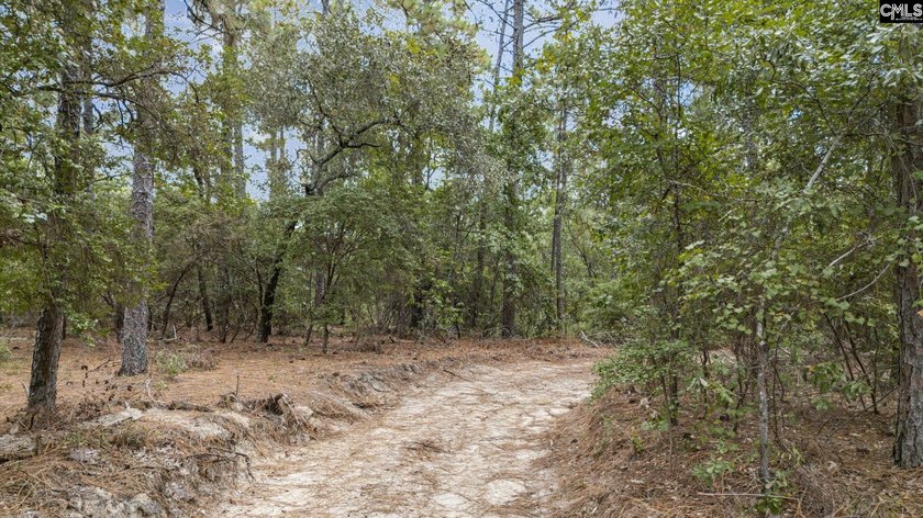 A long, private, tree-lined drive leads to a brick cabin - photo 34