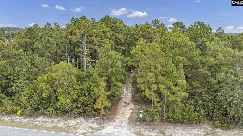 A long, private, tree-lined drive leads to a brick cabin - photo 35