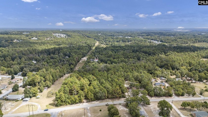 A long, private, tree-lined drive leads to a brick cabin - photo 36