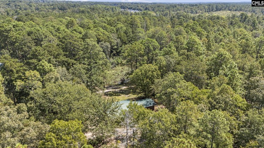 A long, private, tree-lined drive leads to a brick cabin - photo 37