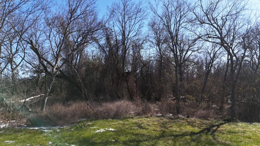 1+ Acre in subdivision on Richland Chambers Lake - photo 25