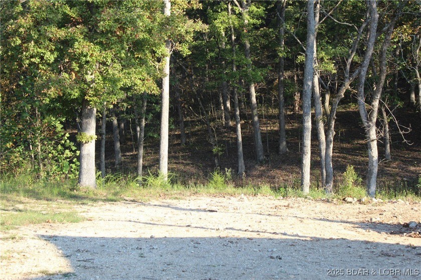 Build your dream home in the growing Woodhaven Estates - photo 2