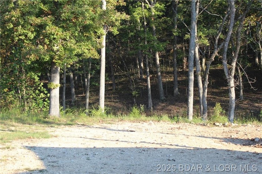 Build your dream home in the growing Woodhaven Estates - photo 2