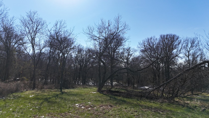 1+ Acre in subdivision on Richland Chambers Lake - photo 11