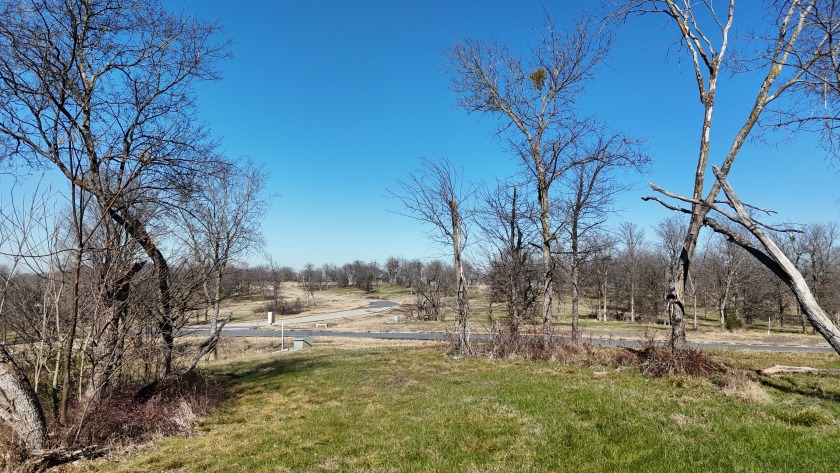 1+ Acre in subdivision on Richland Chambers Lake - photo 27