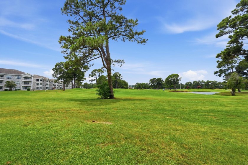Welcome to Magnolia Place, one of Myrtle Beach's most desirable - photo 31