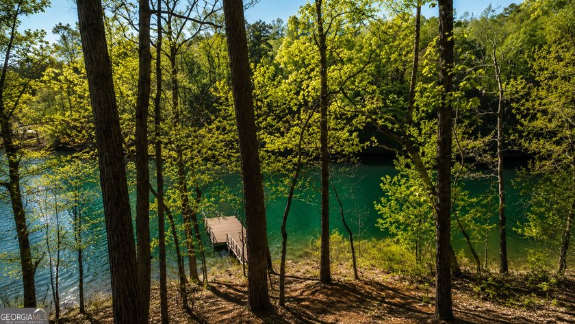 Build your dream lakefront retreat on this exceptional 1.09-acre - photo 4