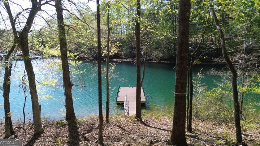 Build your dream lakefront retreat on this exceptional 1.09-acre - photo 5